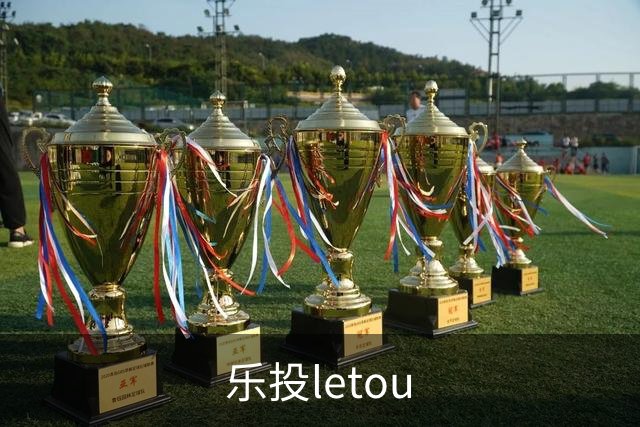 乐投letou公司简介图